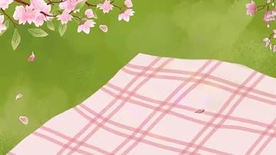 春天野餐桃花飘落文件夹视频的预览图